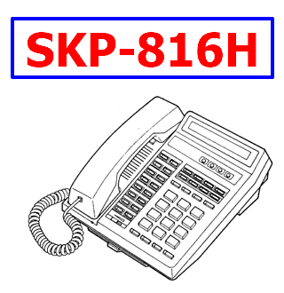 SKP-816H pdf manual