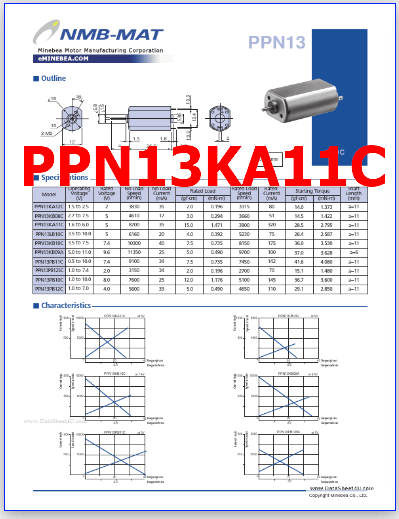 PPN13KA11C pdf datasheet motor