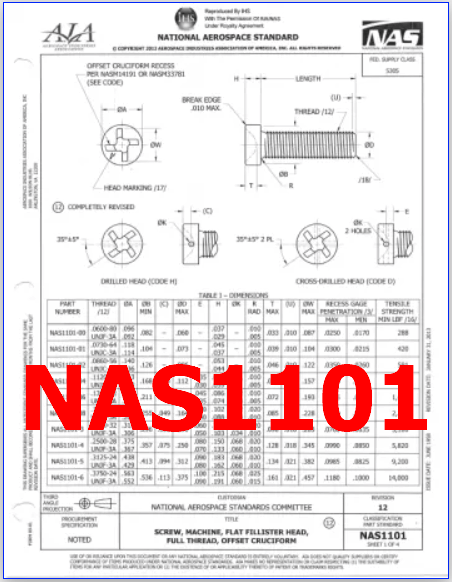 NAS1101 datasheet pdf